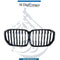 BMW X5 Series G05 Show Grille M Performance Look Black - China