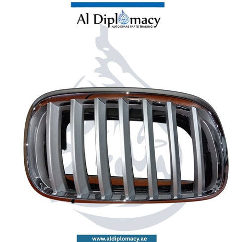 Bmw X5 X6 Series Show Grille, Right - OEM Part Number 51137185224 China