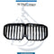 BMW X7 Series G07 Show Grille M Performance Look Black - China
