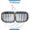 Bmw X7 Series G07 Show Grille - OEM Part Number 51137454895 China