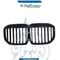 BMW X7 Series G07 Show Grille, M Performance Look, Black, Complete Front Grille Assembly. China