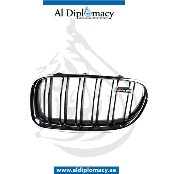 BMW 5 Series F10 M5 Show Grille Double Line Left Side - OEM Part Number 51138057223 Genuine BMW Used Part