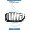 BMW 5 Series F10 M5 Show Grille Double Line Left Side - OEM Part Number 51138057223 Genuine BMW Used Part