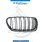 BMW 5 Series F10 M5 Show Grille Double Line Right Side - OEM Part Number 51138057224 Genuine BMW Used Part
