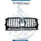 Mercedes-Benz G Class W463 Show Grille, Complete - Original - Used OEM Part Number A4638885300