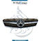 Original Mercedes-Benz C216 Show Grille - Part Number A2168801583