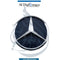 Mercedes-Benz Show Grille Mercedes Star - OEM Part Number A2138803307 Used Original