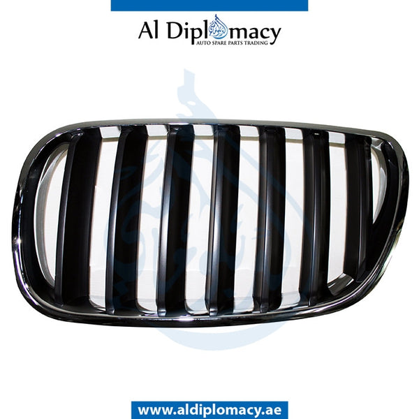 Left SHOW GRILLE for BMW X3 Series E83 (2006-2010) models, Part Number T-51113420091