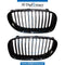 SHOW Grille, SET for BMW 7 Series F01 (2008-2015) models, Part Number T-51117184151+T-51117184152