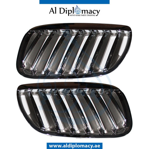 SHOW Grille, SET for BMW X5 Series E53 (1999-2006) models, Part Number T-51137113733/734