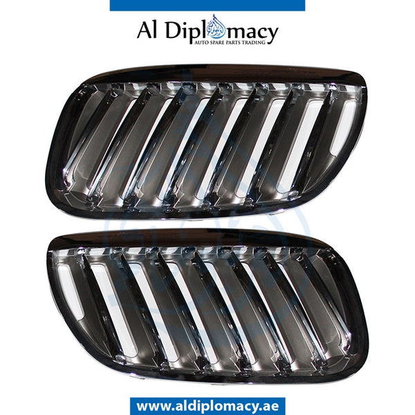 SHOW Grille, SET for BMW X5 Series E53 (1999-2006) models, Part Number T-51137113733/734