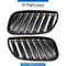SHOW Grille, SET for BMW X5 Series E53 (1999-2006) models, Part Number T-51137113733/734