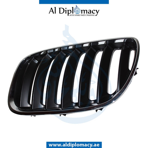 Left SHOW Grille, CHROME for BMW X5 Series E53 (1999-2006) models, Part Number T-51137113733