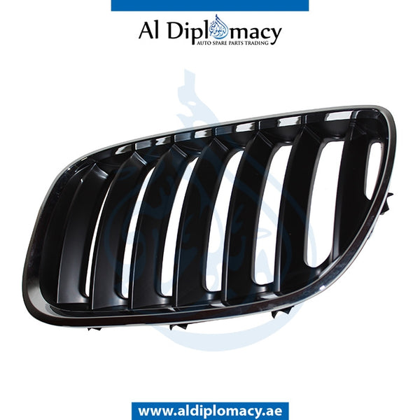 Left SHOW Grille, CHROME for BMW X5 Series E53 (1999-2006) models, Part Number T-51137113733