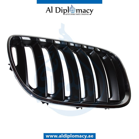 Right SHOW Grille, CHROME for BMW X5 Series E53 (1999-2006) models, Part Number T-51137113734