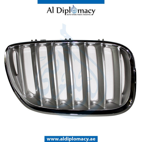 Right SHOW GRILLE for BMW X5 Series E53 (1999-2006) models, Part Number T-51137124816