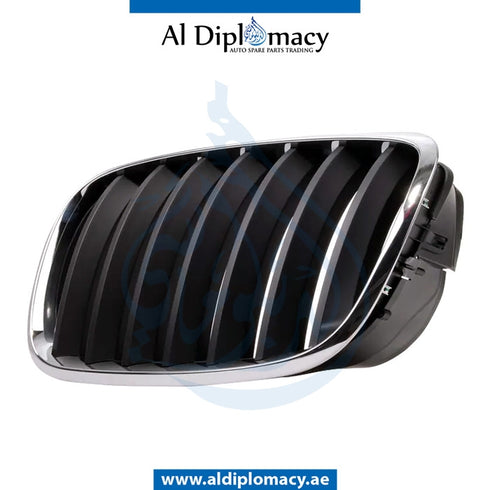 Left SHOW GRILLE for BMW X5 Series E70 (2010-2013) models