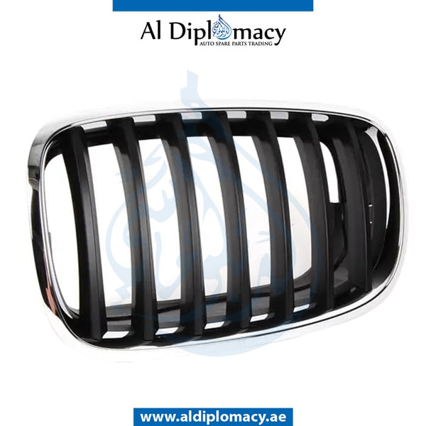 Left SHOW GRILLE for BMW X5 Series E70 (2010-2013) models, Part Number T-51137157687