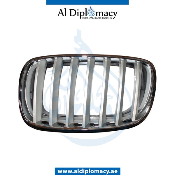 Left SHOW GRILLE for BMW X5 Series E70 (2006-2013) models, Part Number T-51137185223