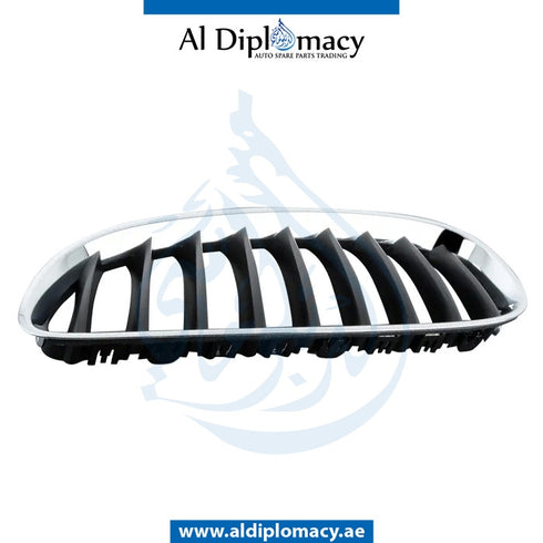 Left SHOW GRILLE for BMW Z4 Series E89 (2012-2017) models
