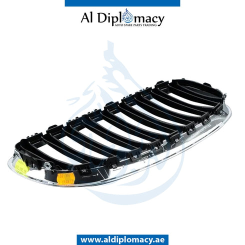 Left SHOW GRILLE for BMW Z4 Series E89 (2012-2017) models