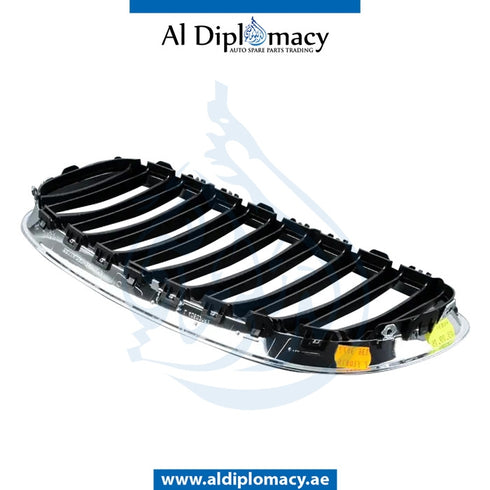 Right SHOW GRILLE for BMW Z4 Series E89 (2012-2017) models