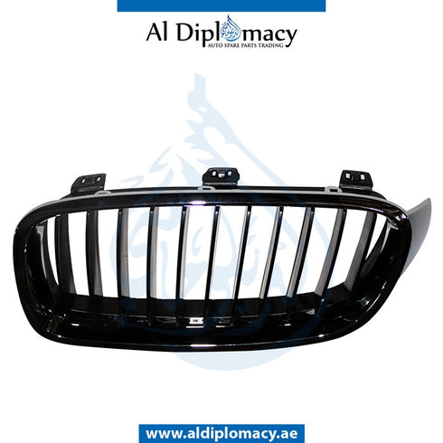 Left SHOW Grille, CHROME & BLACK for BMW 3 Series F30 (2015-2019) models, Part Number T-51137255411