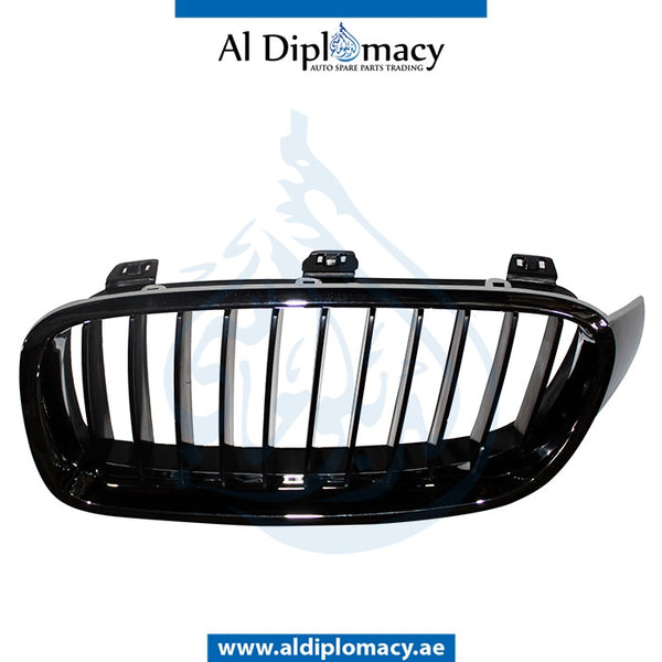 Left SHOW Grille, CHROME & BLACK for BMW 3 Series F30 (2015-2019) models, Part Number T-51137255411
