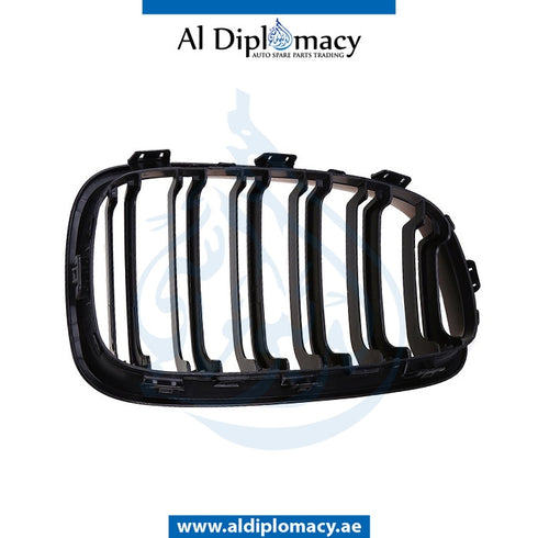 Left SHOW Grille, CHROME & BLACK for BMW 1 Series F20 (2011-2015) models, Part Number T-51137262117