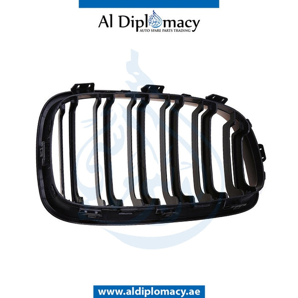 Left SHOW Grille, CHROME & BLACK for BMW 1 Series F20 (2011-2015) models, Part Number T-51137262117