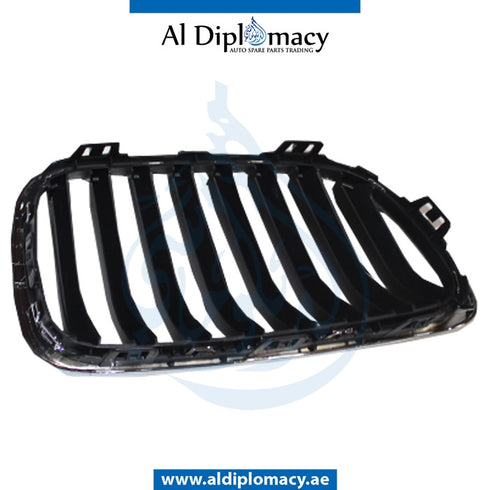 Left SHOW Grille, SPORT LOOK for BMW 2 Series F22 (2017-2021) models, Part Number T-51137295523