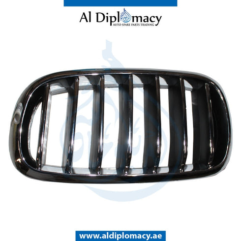 Left SHOW GRILLE for BMW X5 Series F15 (2013-2018) models, Part Number T-51137316061
