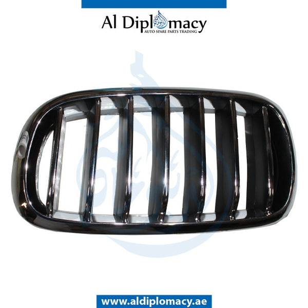 Left SHOW GRILLE for BMW X5 Series F15 (2013-2018) models, Part Number T-51137316061