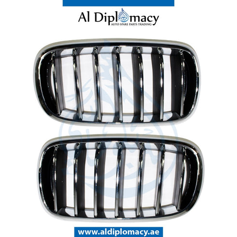 SHOW Grille, SET for BMW X5 Series F15 (2013-2018) models, Part Number T-51137316061+T-51137316062