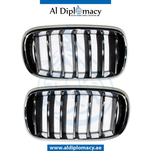 SHOW Grille, SET for BMW X5 Series F15 (2013-2018) models, Part Number T-51137316061+T-51137316062