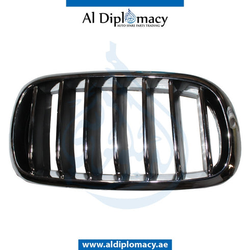 Right SHOW GRILLE for BMW X5 Series F15 (2013-2018) models