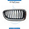 Right SHOW Grille, WITHOUT NIGHT VISION for BMW 5 Series F10 (2010-2016) models, Part Number T-51137336478