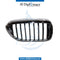Right SHOW Grille, CHROME BLACK for BMW 5 Series G30 (2016-2020) models, Part Number T-51137390864