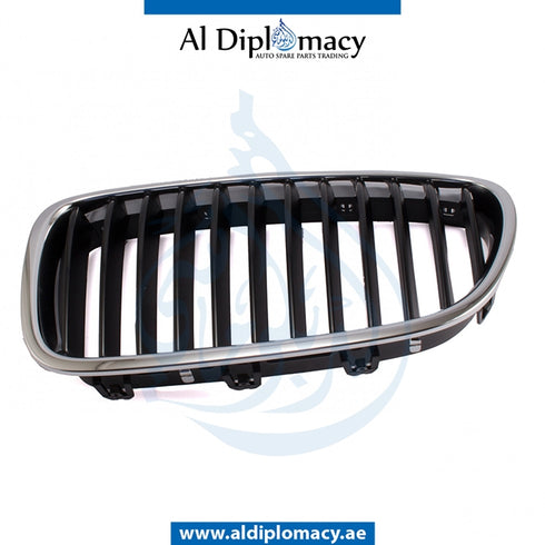Left SHOW GRILLE for BMW 5 Series F10 (2010-2016) models, Part Number T-51138054491