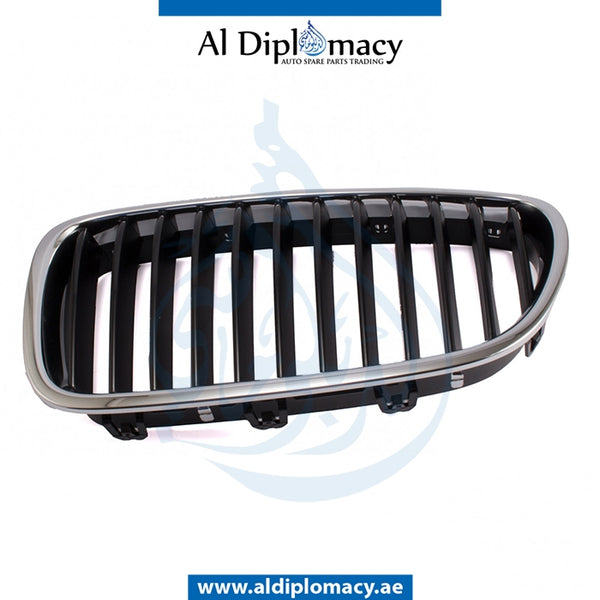 Left SHOW GRILLE for BMW 5 Series F10 (2010-2016) models, Part Number T-51138054491