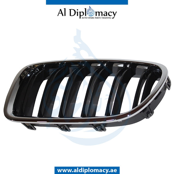 Left SHOW Grille, DOUBLE LINE Type, M5 for BMW 5 Series F10 (2010-2016) models, Part Number T-51138057223