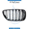 Right SHOW Grille, M2 Style, 2 LINES for BMW 2 Series F22 (2017-2021) models, Part Number T-51138064144