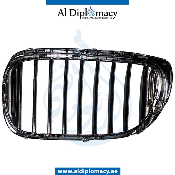 Right SHOW GRILLE for BMW 7 Series G11 (2015) models, Part Number T-51138065540
