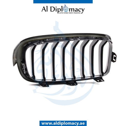 Left SHOW Grille, BLACK for BMW 3 Series F30 (2011-2015) models