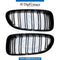 SHOW Grille, M PERFORMANCE Look, SET for BMW 6 Series F12 (2010-2015) models, Part Number T-51712297595/592