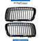 SHOW Grille, Silver, SET for BMW 7 Series E38 (1995-2001) models, Part Number T-E38GRILL-SL