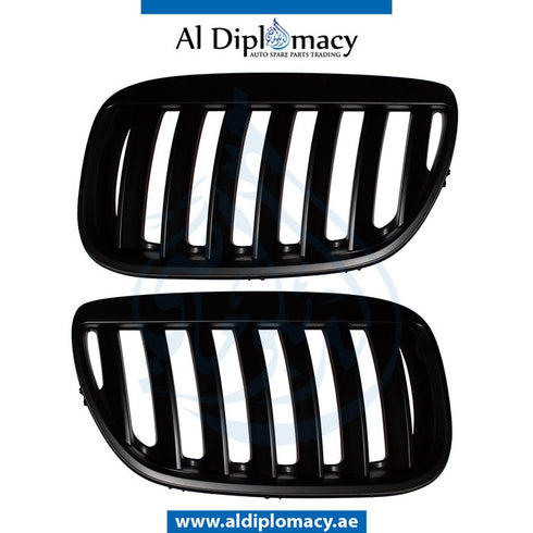 SHOW Grille, WITH Frame, BLACK for BMW X5 Series E53 (1999-2006) models, Part Number T-E53GRILL-BK-FRAME(BK)(SET)
