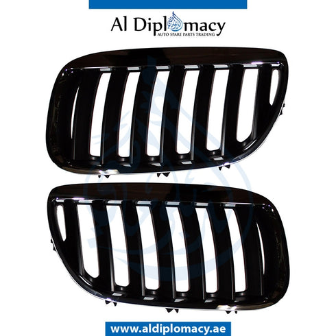 SHOW Grille, BLACK & CHROME for BMW X5 Series E53 (1999-2006) models, Part Number T-E53GRILL-CHROME+BK(SET)