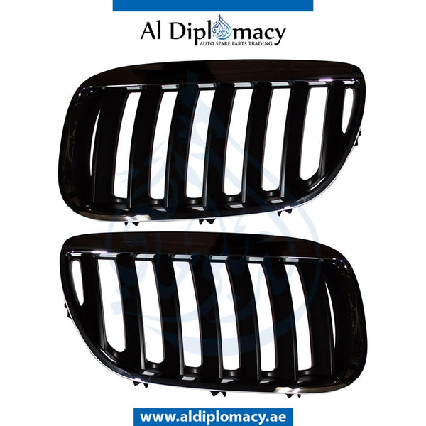 SHOW Grille, BLACK & CHROME for BMW X5 Series E53 (1999-2006) models, Part Number T-E53GRILL-CHROME+BK(SET)