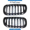 SHOW Grille, FULL Chrome, SET for BMW X3 Series E83 (2003-2006) models, Part Number T-E83GRILL-CHROME(ST)